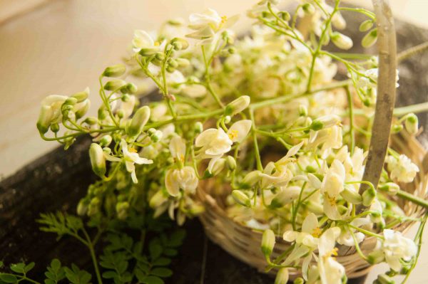 Moringa Flower Fritters