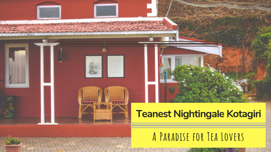 Best Home-stay in a Tea-Estate | Teanest Nightangle, Kotagiri