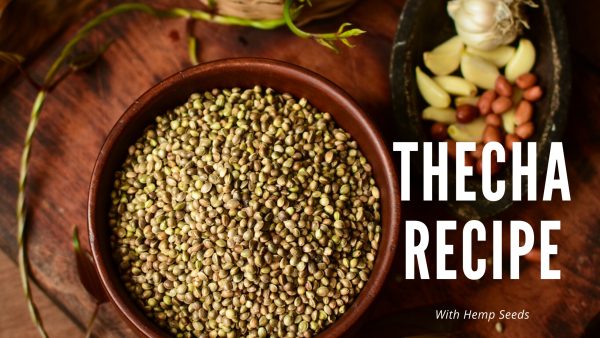 Green Chilli Thecha Recipe | Hemp Seed Chutney Recipe