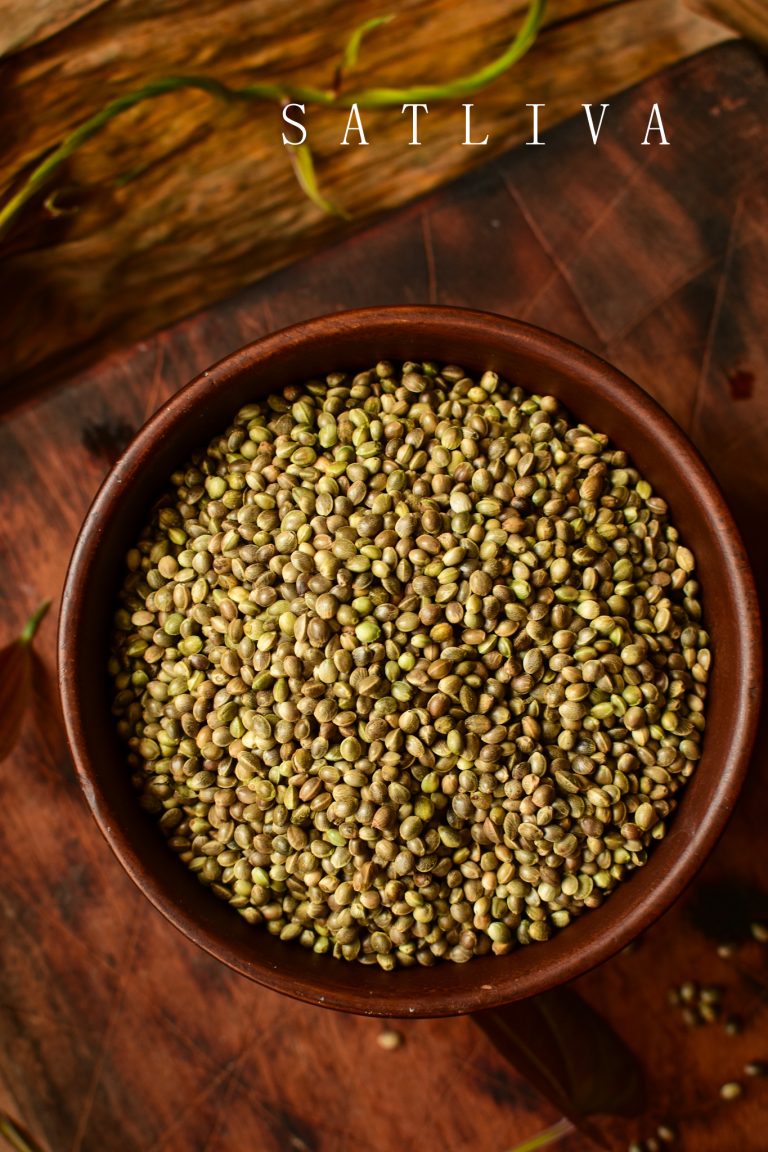 Green Chilli Thecha Recipe Hemp Seed Chutney by MyCookingCanvas