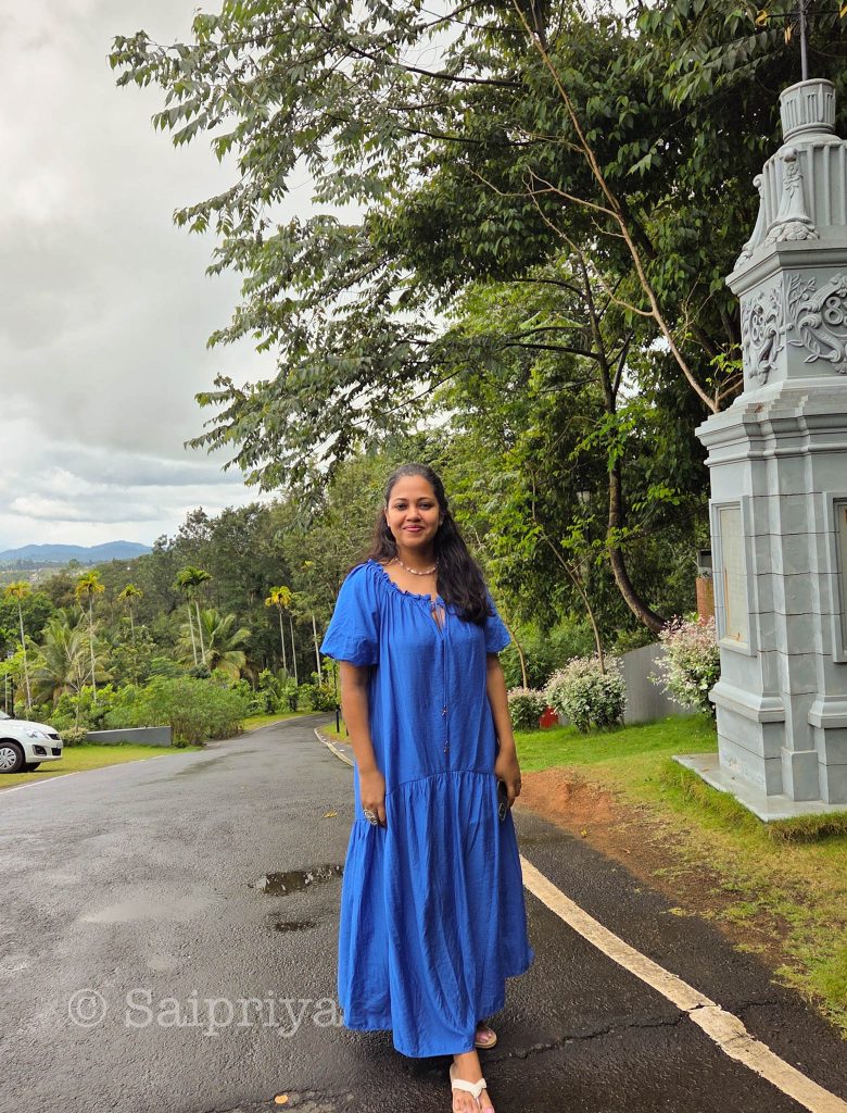 IMG_0341 cricket-themed resort in kerala